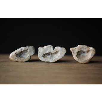 青木木米造か 十六羅漢造 置物 三体　P321 