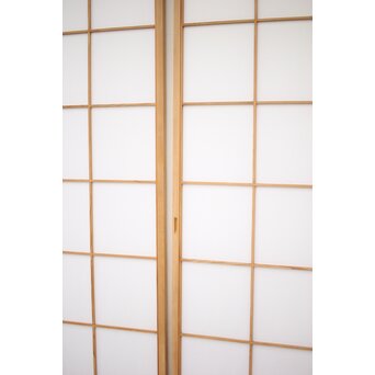 上手 両面障子戸 2枚1組　F239 