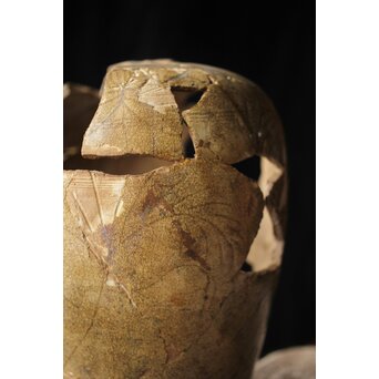 古瀬戸 灰釉劃花文瓶子　P331 