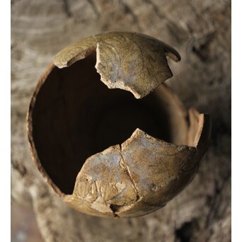 古瀬戸 灰釉劃花文瓶子　P331 