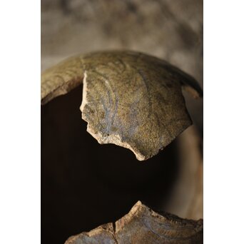 古瀬戸 灰釉劃花文瓶子　P331 