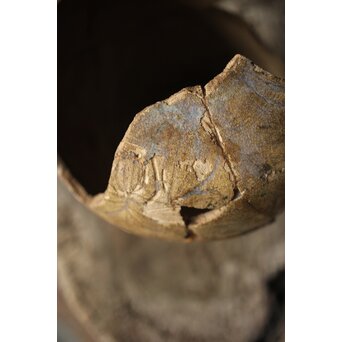 古瀬戸 灰釉劃花文瓶子　P331 