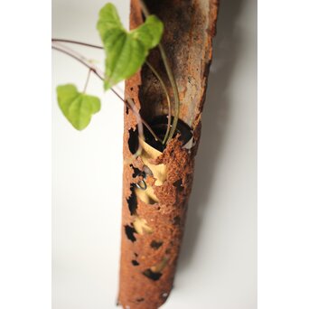 鉄管の花生け　M311 