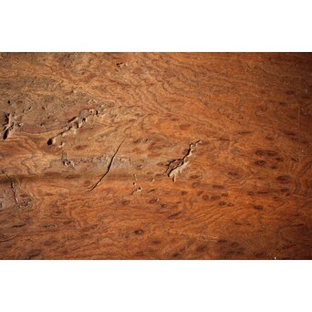 指物師 伊藤小平 上杢葉盆 煎茶盆　X344 