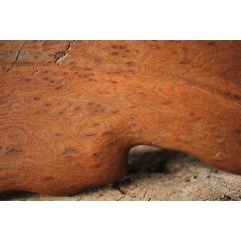 指物師 伊藤小平 上杢葉盆 煎茶盆　X344 