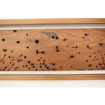 虫食意匠 欄間 2枚1組　R0183 