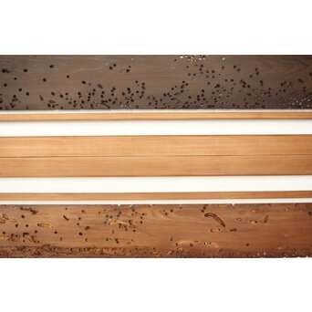 虫食意匠 欄間 2枚1組　R0183 