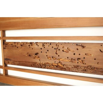 虫食意匠 欄間 2枚1組　R0183 