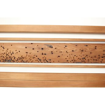 虫食意匠 欄間 2枚1組　R0183 