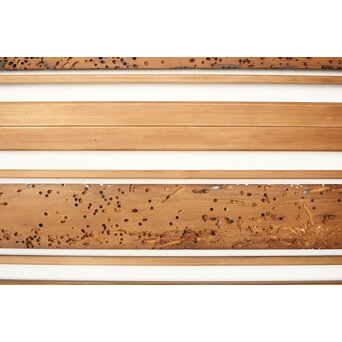 虫食意匠 欄間 2枚1組　R0183 