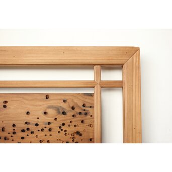 虫食意匠 欄間 2枚1組　R0183 