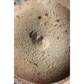 桃山唐津 呼継茶碗　P336 