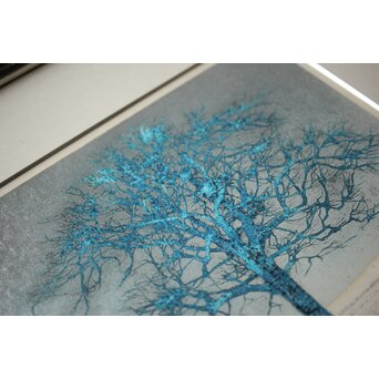 星襄一 リトグラフ【冬樹】額装　Z293 