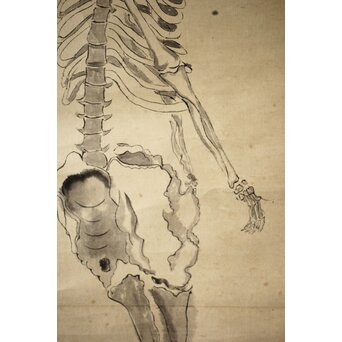 骸骨 しゃれこうべ 紙本軸装 掛軸　Z296 