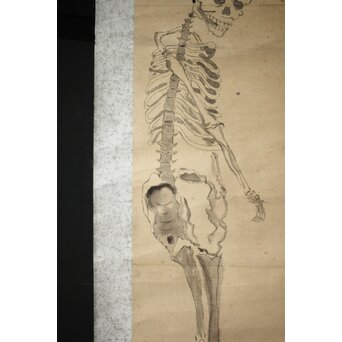 骸骨 しゃれこうべ 紙本軸装 掛軸　Z296 