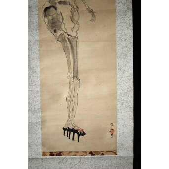 骸骨 しゃれこうべ 紙本軸装 掛軸　Z296 