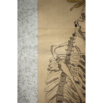 骸骨 しゃれこうべ 紙本軸装 掛軸　Z296 
