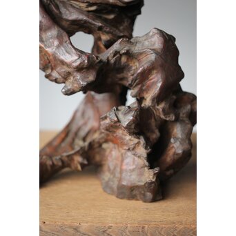 変木 自然木 卓　X348 