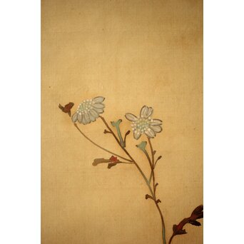 倣 菁々 鈴木其一 黄花水注図 絹本掛軸　Z300 