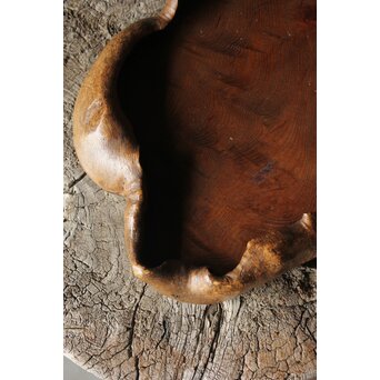 瘤木 自然木の瓶掛/煎茶盆　X351 