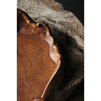 瘤木 自然木の瓶掛/煎茶盆　X351 