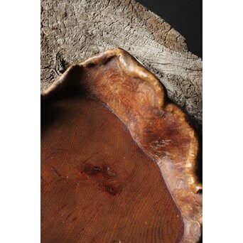 瘤木 自然木の瓶掛/煎茶盆　X351 