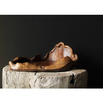 瘤木 自然木の瓶掛/煎茶盆　X351 