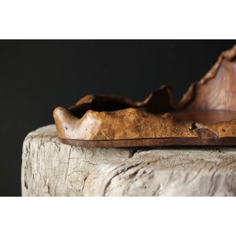 瘤木 自然木の瓶掛/煎茶盆　X351 