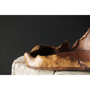 瘤木 自然木の瓶掛/煎茶盆　X351 