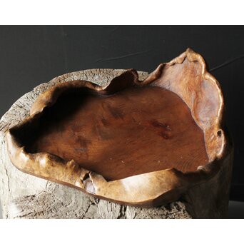 瘤木 自然木の瓶掛/煎茶盆　X351 