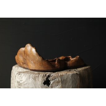 瘤木 自然木の瓶掛/煎茶盆　X351 