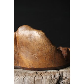 瘤木 自然木の瓶掛/煎茶盆　X351 