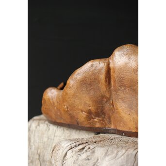 瘤木 自然木の瓶掛/煎茶盆　X351 