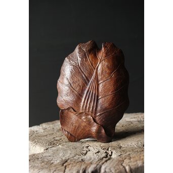 篠原石山作か 松木彫葉盆/煎茶盆　X353 