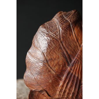 篠原石山作か 松木彫葉盆/煎茶盆　X353 