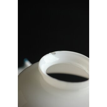 乳白地青縁 ひらひら電笠　A029 