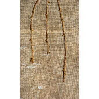 竹屋町刺繍 のったり図 掛軸　Z304 