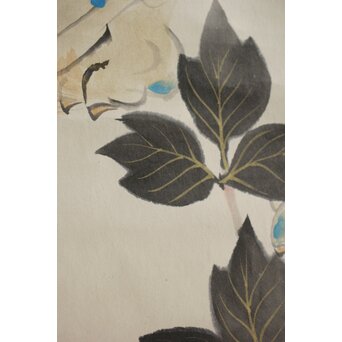 山口蓬春 獅子図 共箱 鑑定書付　Z305 