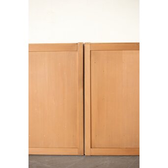 中型板戸 2枚1組　B1015 