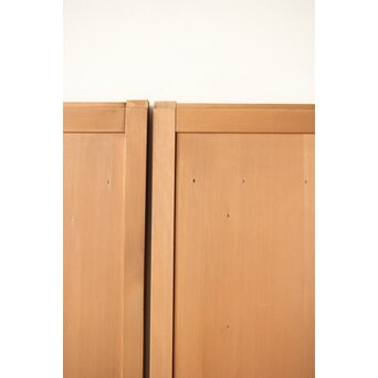 中型板戸 2枚1組　B1015 