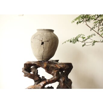 変木 自然木 根木 盆栽卓　X361 