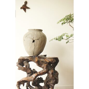 変木 自然木 根木 盆栽卓　X361 