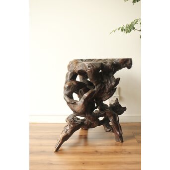 変木 自然木 根木 盆栽卓　X361 