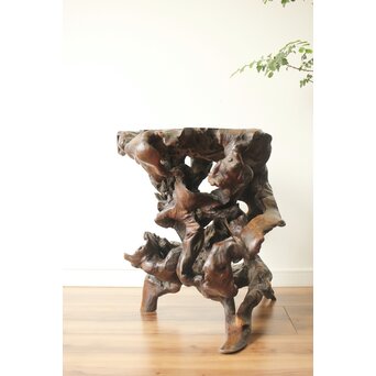 変木 自然木 根木 盆栽卓　X361 