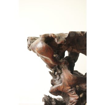 変木 自然木 根木 盆栽卓　X361 