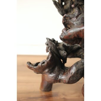 変木 自然木 根木 盆栽卓　X361 