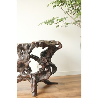 変木 自然木 根木 盆栽卓　X361 