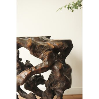 変木 自然木 根木 盆栽卓　X361 