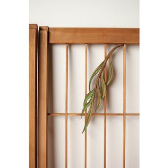 彩色書院 小野道風 柳に蛙 2枚1組　R0221 