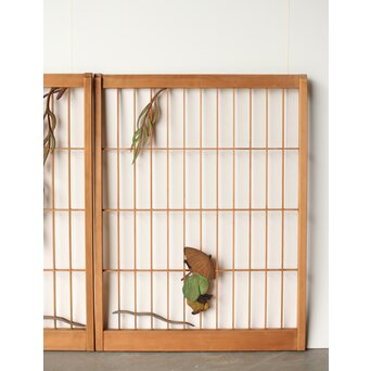 彩色書院 小野道風 柳に蛙 2枚1組　R0221 